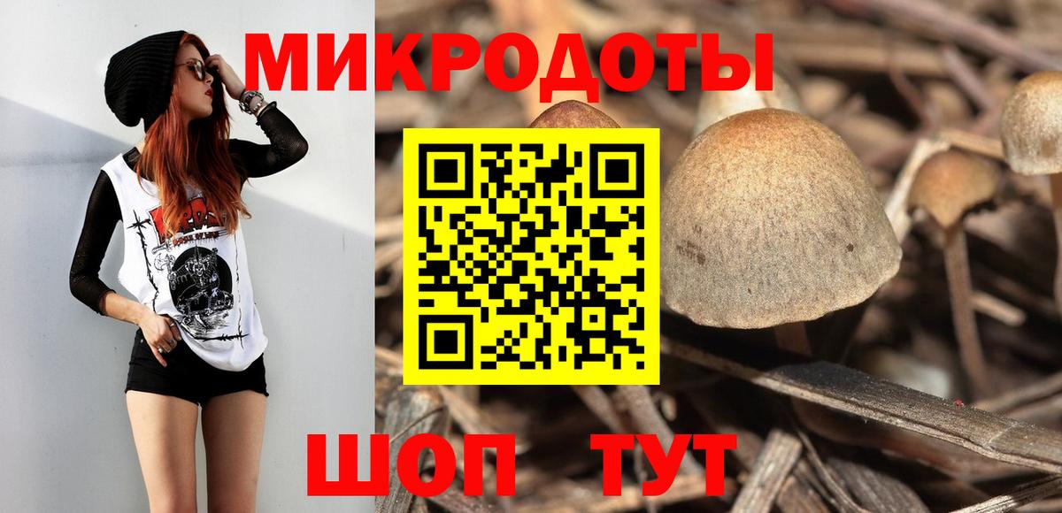 Галлюциногенные грибы мухоморы Прохладный