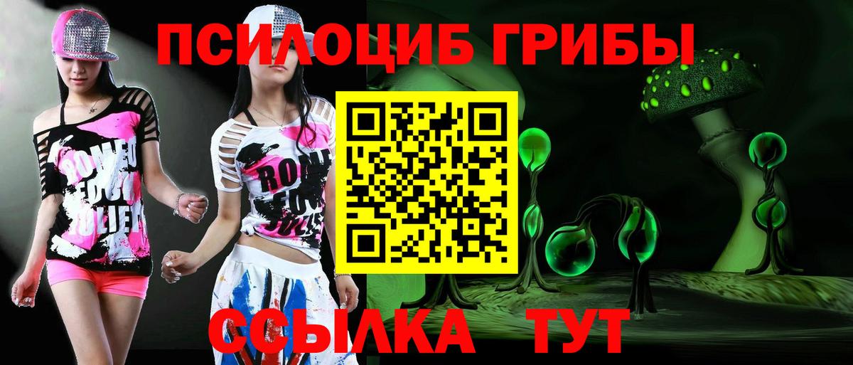 Прохладный  Галлюциногенные грибы Psilocybe  Вход с VPN 
